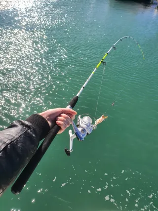 Equipo de pesca Eging, Equipo de Pesca,