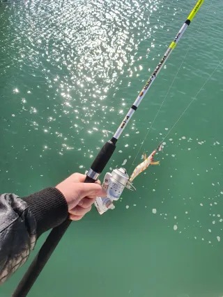 Equipo de pesca Eging, Equipo de Pesca,