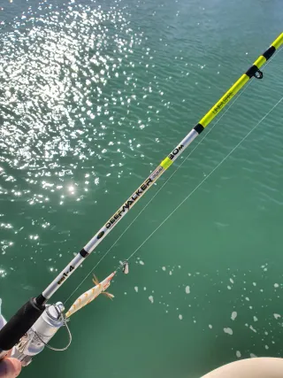 Equipo de pesca Eging, Equipo de Pesca,