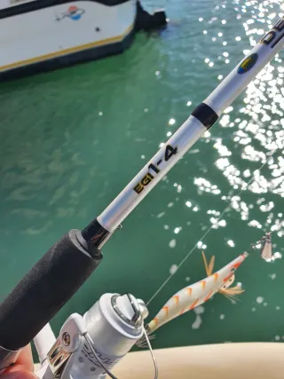 Equipo de pesca Eging, Equipo de Pesca,