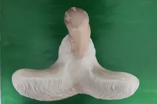 Águila Porcelana PORCEGAMA