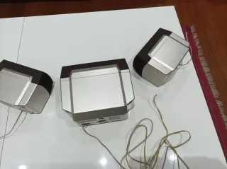 Altavoces Technics Marrón y Plata