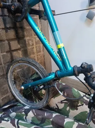 Bicicleta infantil azul