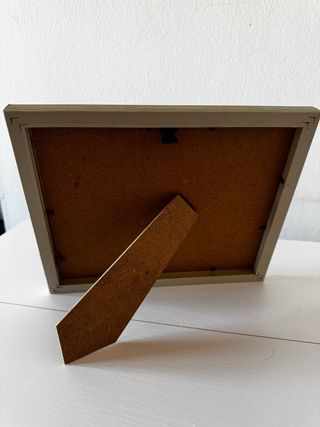 Muschio stabilizzato decorativo