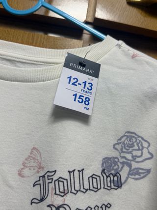 Sudadera Primark Mariposas y Flores