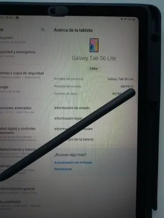 Tablet Samsung Tab S6 Lite+S Pen+ Funda+teclado