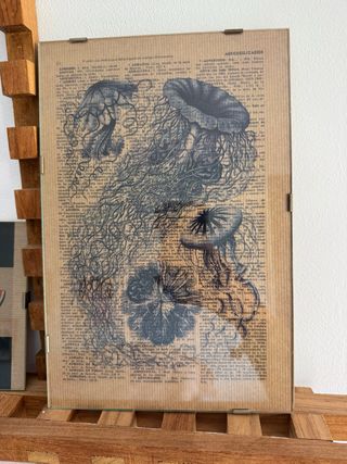 Cuadro Jellyfish Vintage Clip & Clip