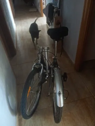 Bicicleta Plegable