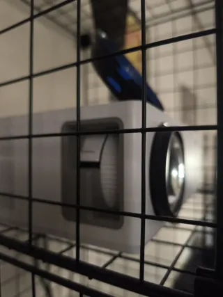 Proyector Full HD 1080p 6000lm 300'