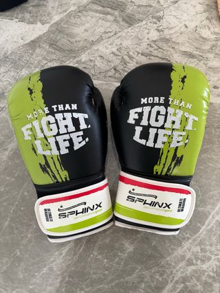 Guanti Boxe SPHINX Ultimate Warrior