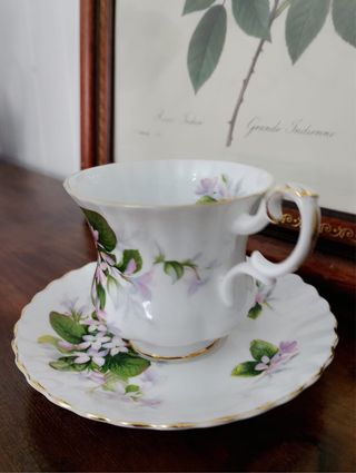 Taza y plato Royal Albert porcelana Mayflower