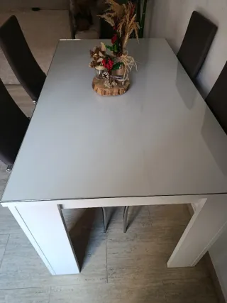 Mesa Comedor Cristal y Madera