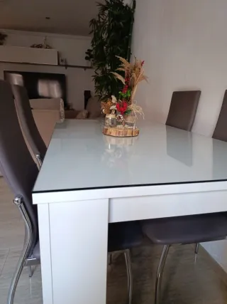 Mesa Comedor Cristal y Madera