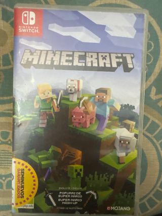 Minecraft Nintendo Switch
