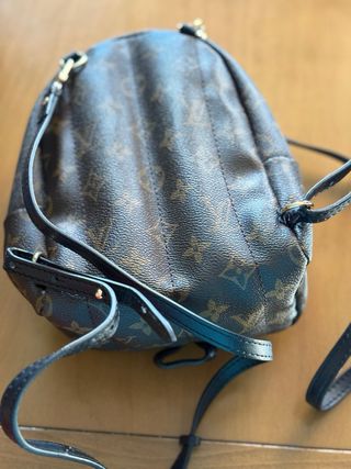 Louis Vuitton Mini Palm Springs o Boulogne