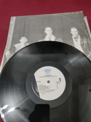 Lote Vinilos Ilegales Punk Rock