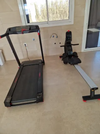 Cinta de correr y Remo