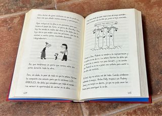 Lote Diario de Greg y Geronimo