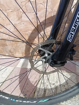 Bicicleta PROWEN Talla XL Seminueva