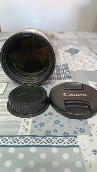 Objetivo Canon EF 300mm 1:4 L USM