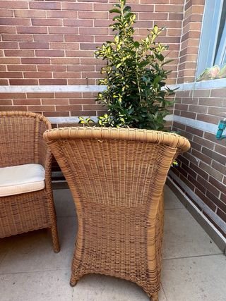 Pareja sillones de ratan para jardín
