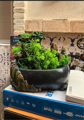 Fuente de agua decorativa con plantas