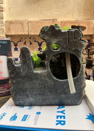 Fuente de agua decorativa con plantas