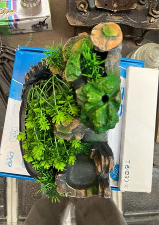 Fuente de agua decorativa con plantas