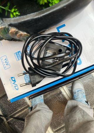 Fuente de agua decorativa con plantas