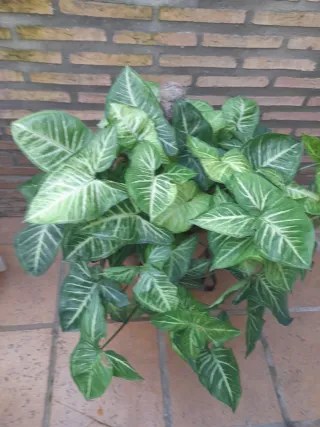 Macetón con planta y pie de hierro