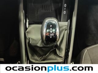 Skoda Kamiq 1.5 TSI Design DSG 110 kW (150 CV)