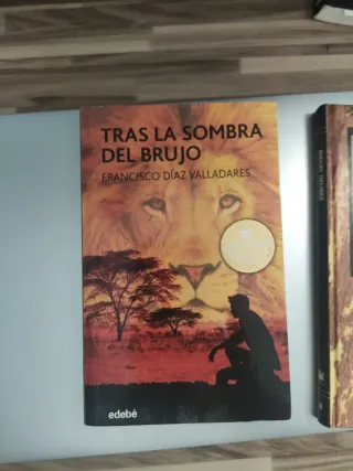 TRAS LA SOMBRA DEL BRUJO (Premio Edebé de Liter...