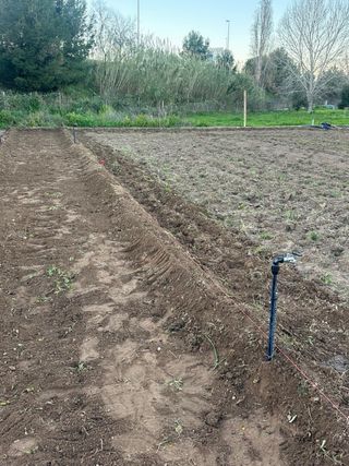 Huertos en alquiler Sant Joan Despi