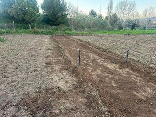 Huertos en alquiler Sant Joan Despi