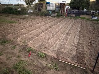 Huertos en alquiler Sant Joan Despi