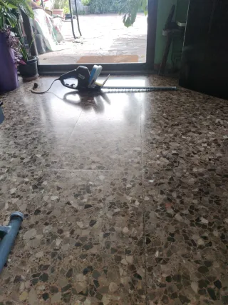 Corta setos eléctrico