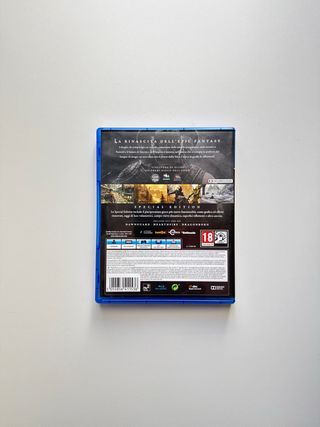 The Elder Scrolls V: Skyrim Special Edition PS4