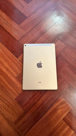 iPad Air 2 (A1567)
