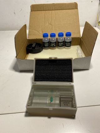 Microscopio Levenhuk Rainbow 2L PLUS