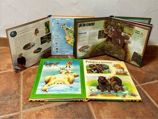 Lote libros animales + estuche Maped