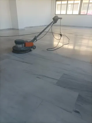 Graco 290 y abrillantadora Taski mono42