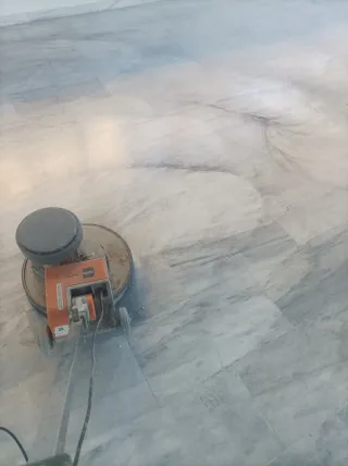 Graco 290 y abrillantadora Taski mono42