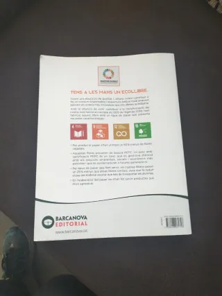 Rosa Luxemburg 2 Batxillerat. Història