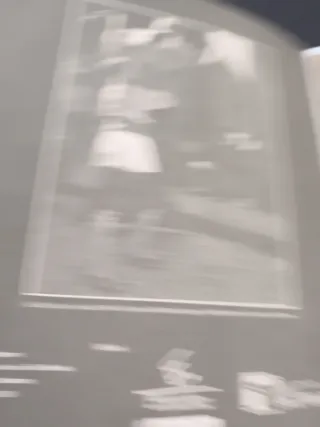 Libro de la historia de la àguila  Olot en catalan