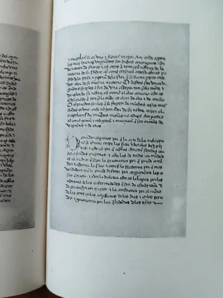 Libro Isidorus Hispalensis, medicina