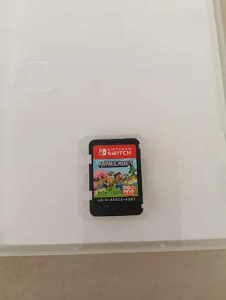 Minecraft Nintendo Switch