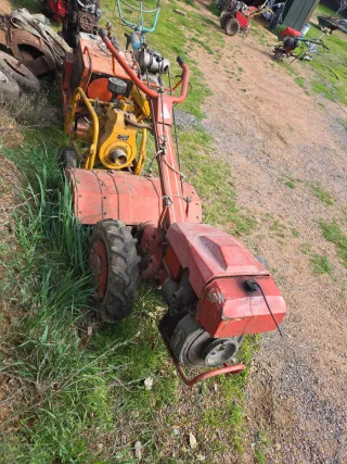 Motocultor Pascuali Mula