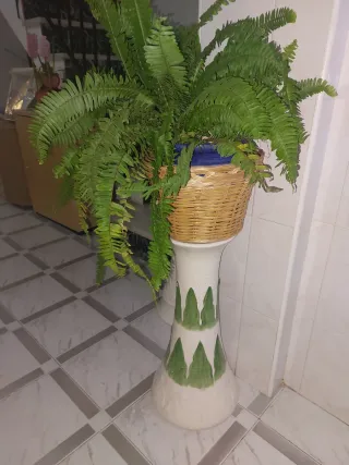 Planta de helecho en maceta de mimbre