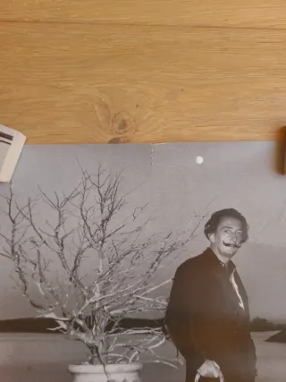 Póster Dalí La Mirada dels Fotògrafs Empordanesos