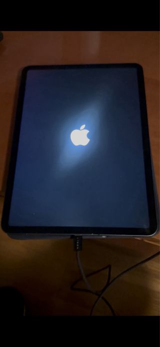 iPad Pro 11 1ª Gen